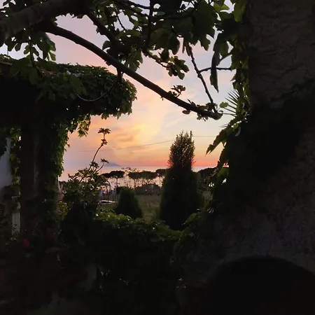 Aparthotel Giulia Parghelia